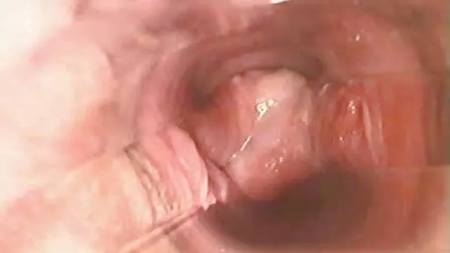 Puta rubia recogida de la calle y follada anal videos de porno gratis en español